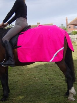 Waterproof Quarter Sheet